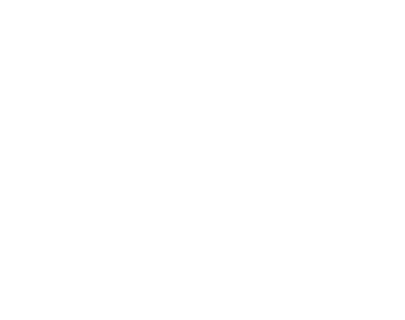 Adeeb in Diwani calligraphy