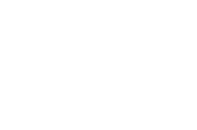 Aisha in Diwani calligraphy