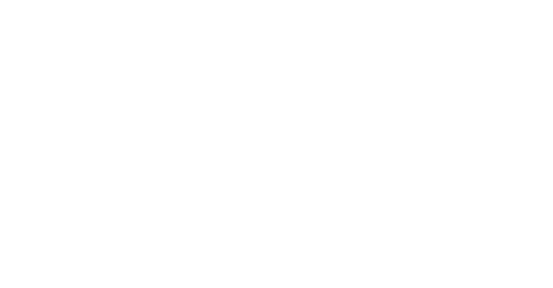 Anees in Diwani calligraphy