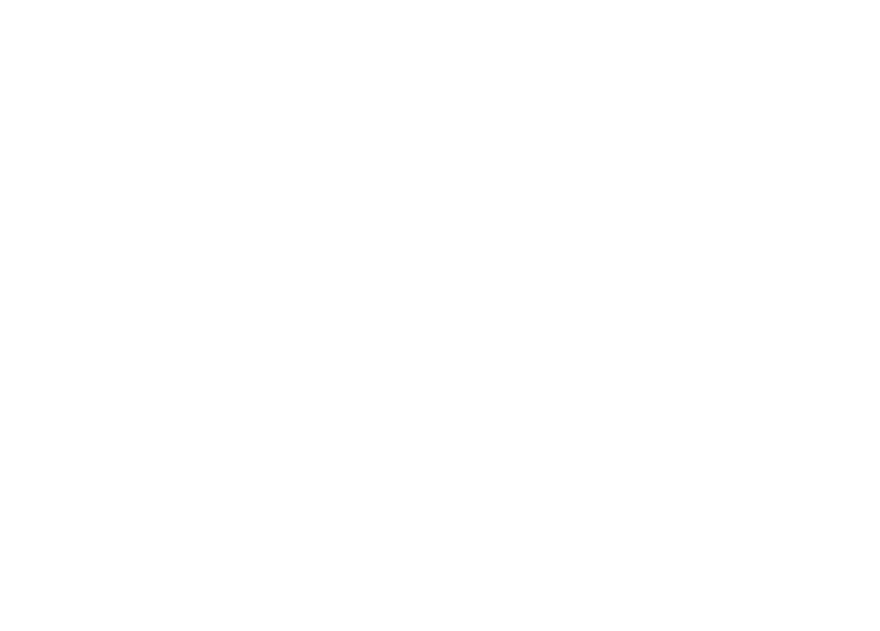 Dena in Thuluth calligraphy