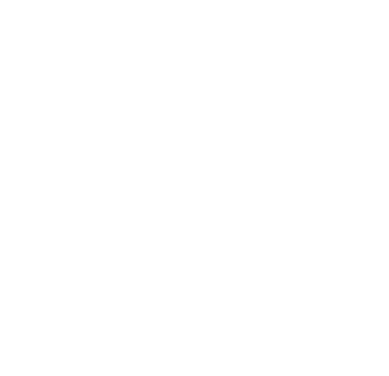 Noor in Diwani calligraphy