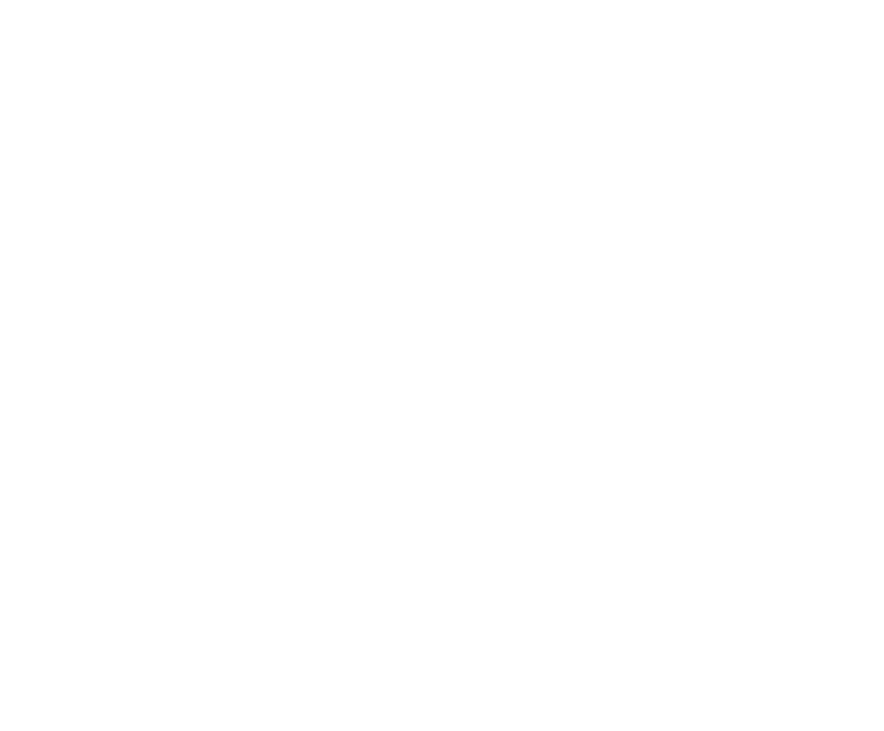Saleem in Diwani calligraphy