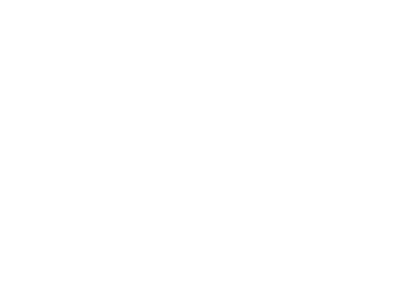 Sharjeel in Diwani calligraphy