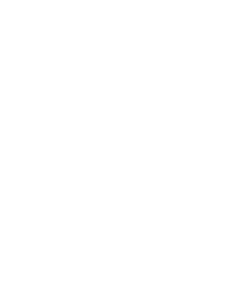Sair in Diwani calligraphy